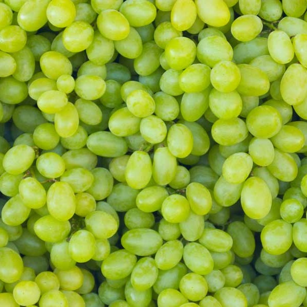 Grapes Seedless Green 500g Aus