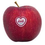Apples Eve NZ*