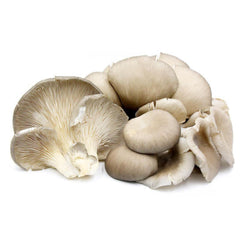 Mushrooms Oyster 150g tray each NZ