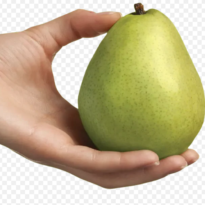 Pears Green Anjou USA