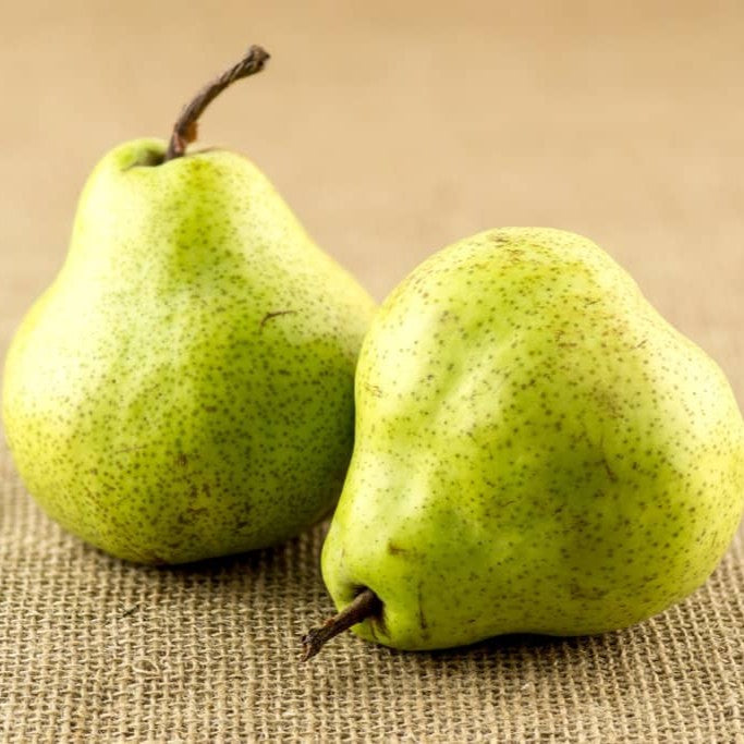 Pears Packham Large Kg NZ