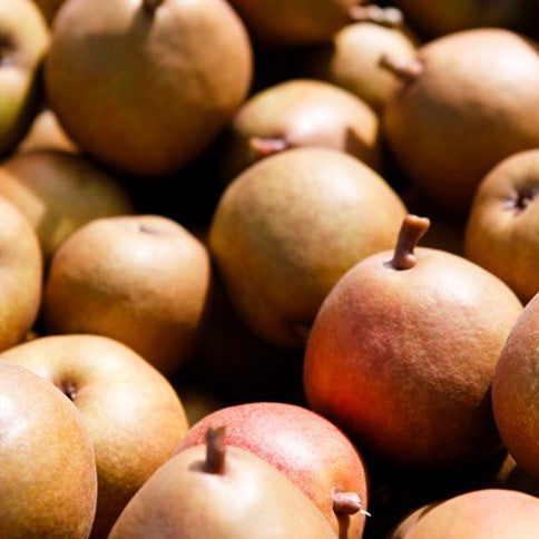 Pears Angelys NZ