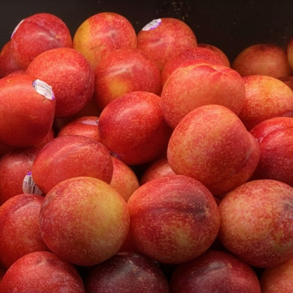 Plums Red USA