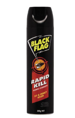 Fly Spray Raid Rapid Kill 300g