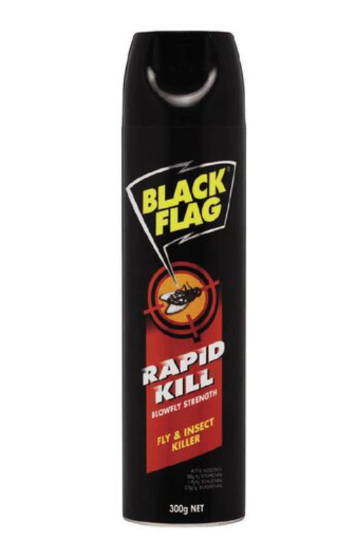 Fly Spray Raid Rapid Kill 300g