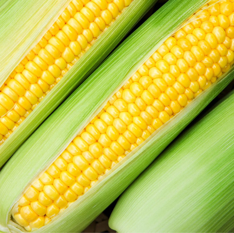 Sweetcorn fresh 67      6 for $7