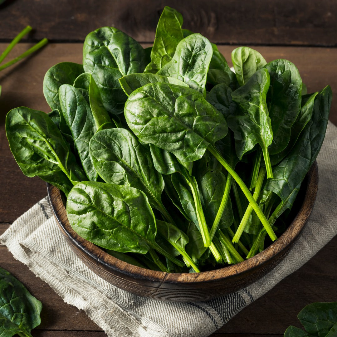 Spinach Fresh Bunch Bagged X2NZ