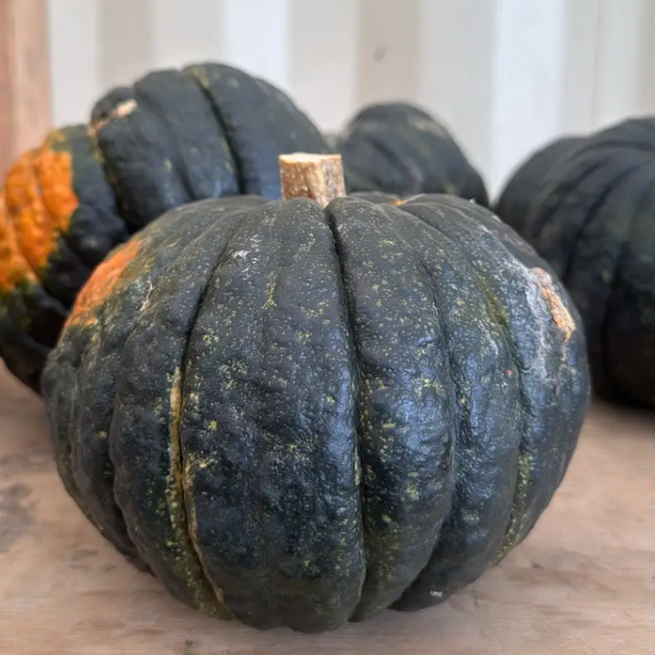 Pumpkin Buttercup Squash Each NZ