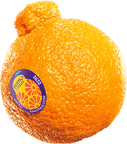 Mandarins Sumo Large USA*