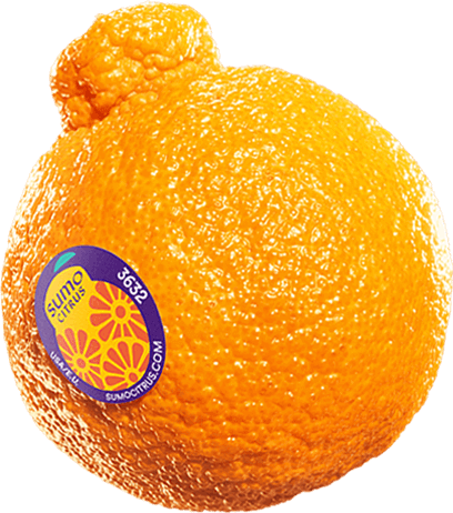 Mandarins Sumo Large USA*