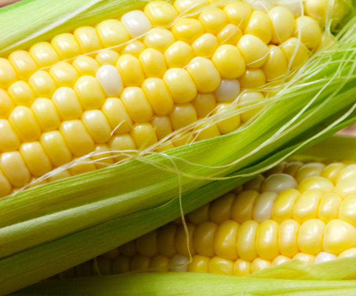 Sweetcorn tray of 2