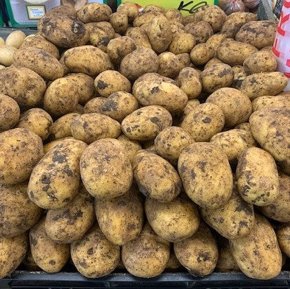 Potatoes Multi Purpose loose kg NZ