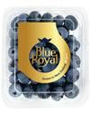 Blueberries -  NZ Blue Royal 125g Jumbo Size