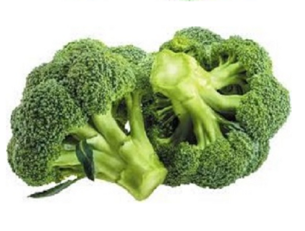Broccoli NZ Fresh for 2