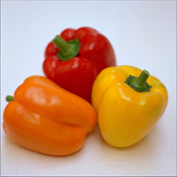 NZ  Capsicums 500g Bag All colours