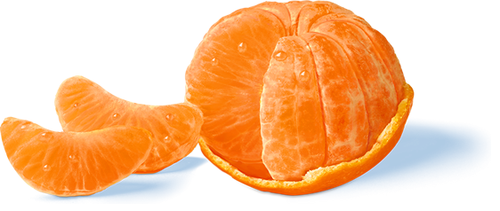 Mandarins Satsuma Ezy Peel NZ