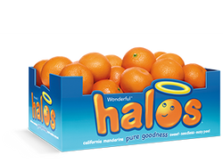 Mandarins Halos Large USA