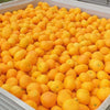 Mandarins Satsuma Ezy Peel NZ