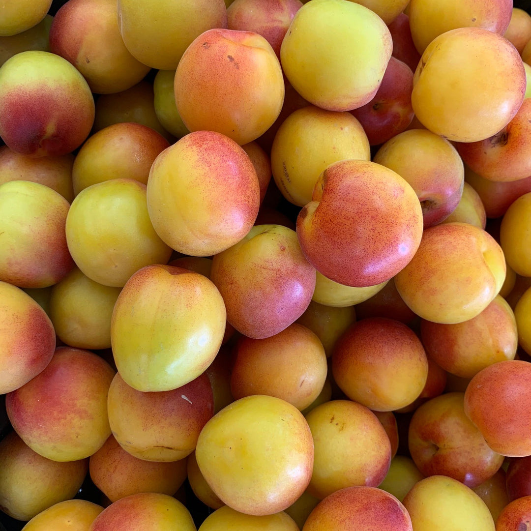 Plumcot 700gm Bag NZ*