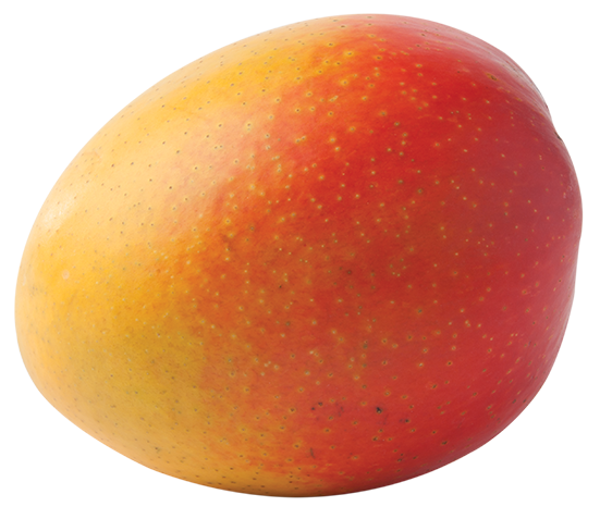Mango - Australian R2E2 Medium Size