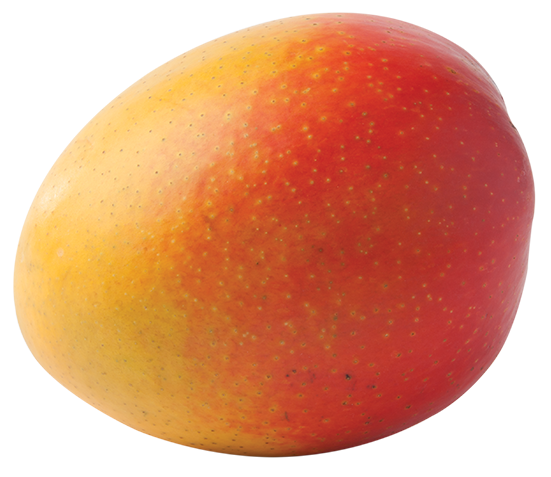 Mango - Australia R2E2 Large Size