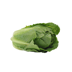 Wong Bok Chinese Cabbage Half NZ