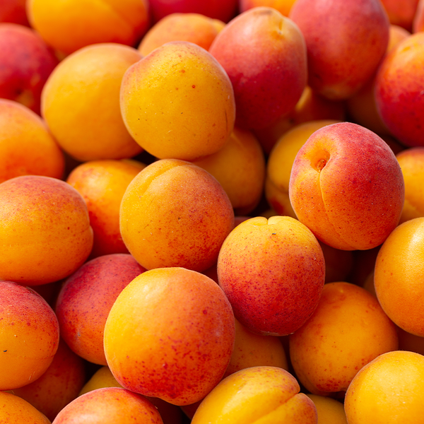 Apricots 500g NZ Bag