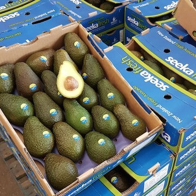 Avocado Bulk Hass X Large 10pc/20pc NZ box