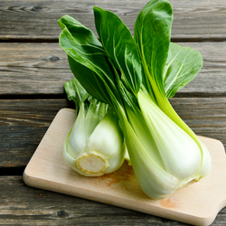 Chinese Vegetables Bok Choy large NZ