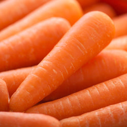 Carrots Large NZ