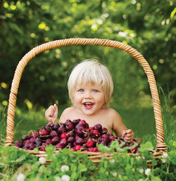 Cherries Central Otago (2kg Box Size 28mm)