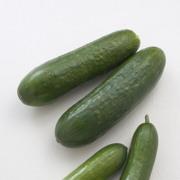 Cucumber Lebanese Each