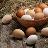 Eggs Free Range Large 20 Pack*