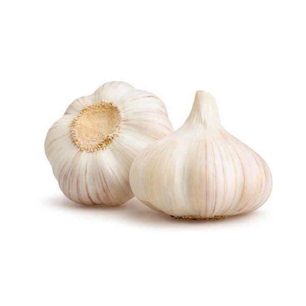 Garlic 9-10pc prepack CN