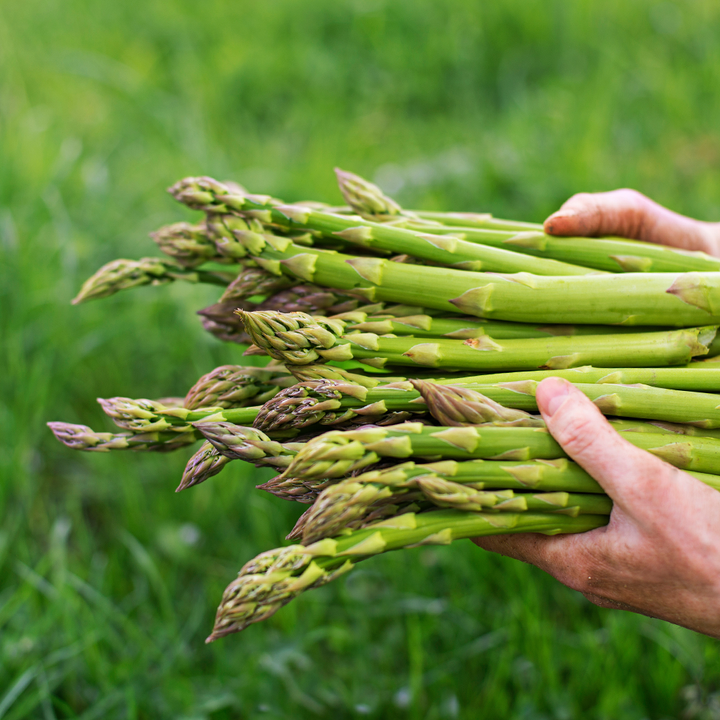 Asparagus 250gm Bunch NZ*