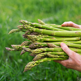 Asparagus bunch 250g NZ