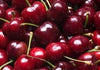 Cherries 1885  (2kg box size 30mm)