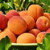 Apricots 500g NZ Bag