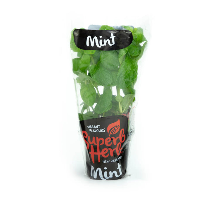 Mint Herb living - Superb Herb Pottle*