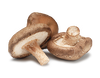 Mushrooms Shiitake 150g tray each NZ