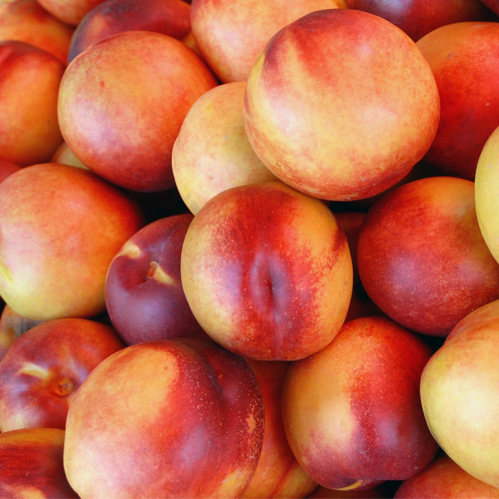 Nectarines Yellow USA kg
