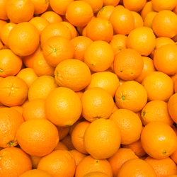 Oranges NZ Navel