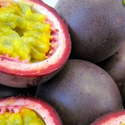 Passionfruit NZ