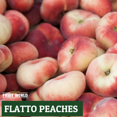 Peaches Donut/Flatto NZ*