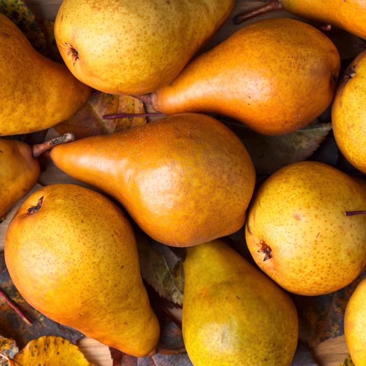 Pears Buerre Bosc 1kg Bag NZ*