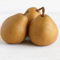 Pears Taylors Gold NZ