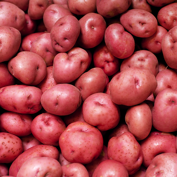 Potatoes Red washed loose NZ