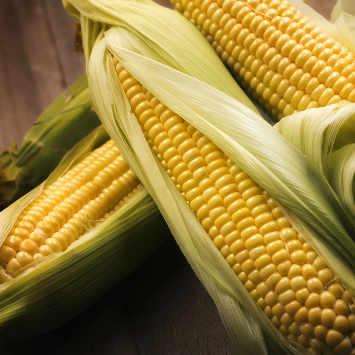 Sweetcorn tray of 2