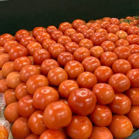 Tomatoes Hothouse NZ