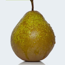 Pears Winter Nelis NZ